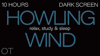 HOWLING WIND Sounds for Sleeping Relaxing Studying BLACK SCREEN Real Storm Sounds 10 HOURS [upl. by Estren]