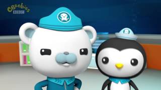 Octonauts Season 3 The Siphonophore [upl. by Jobie]