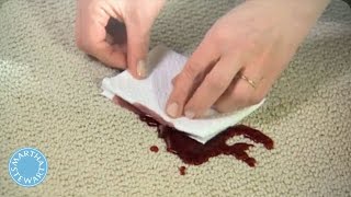 How to Remove Any Carpet Stain  Martha Stewart [upl. by Ylloh]