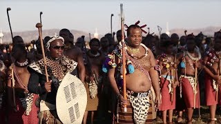 Reed Dance Ceremony in Swaziland [upl. by Towbin505]