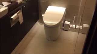 Japanese Toilet  Toto Washlet [upl. by Afra604]