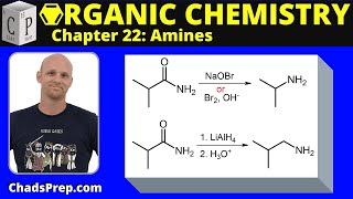 224b Synthesis of Amines Hofmann Rearrangement [upl. by Slin]