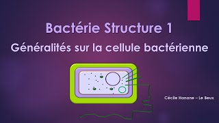 Bactérie Structure 1 BACTERIE [upl. by Einegue911]